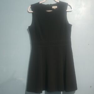 Calvin Klein Black Sleeveless A-Line Mini Dress